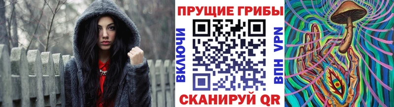 Псилоцибиновые грибы Cubensis omg Сафоново