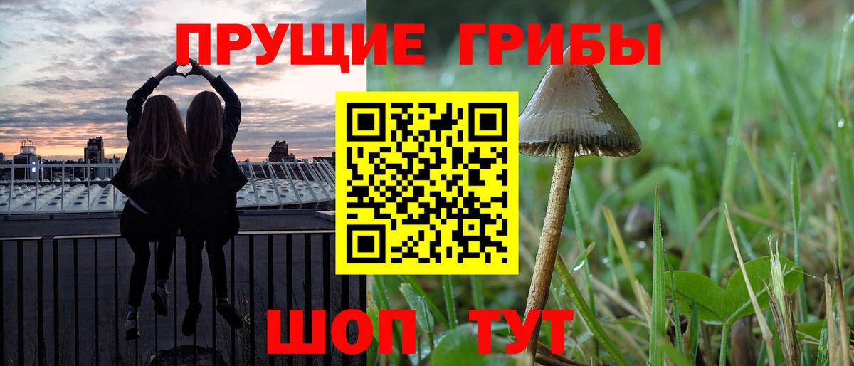 цена   Псилоцибиновые грибы Psilocybe  Вход с VPN  Сафоново 